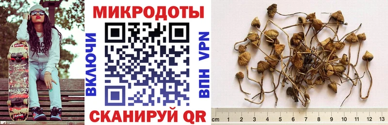 Псилоцибиновые грибы GOLDEN TEACHER  Биробиджан 