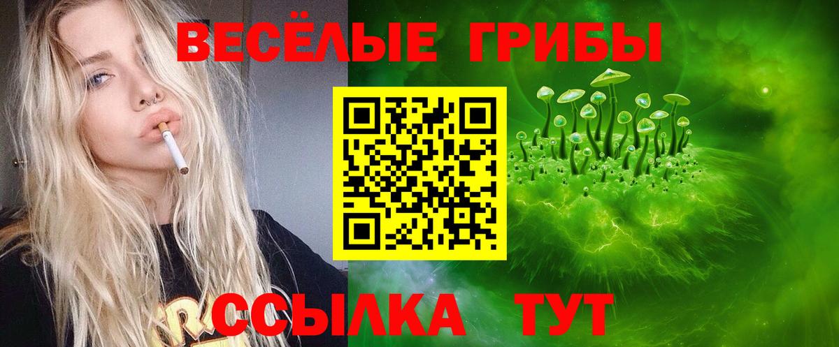 Биробиджан  Псилоцибиновые грибы мухоморы  Вход с VPN  Галлюциногенные грибы мицелий 