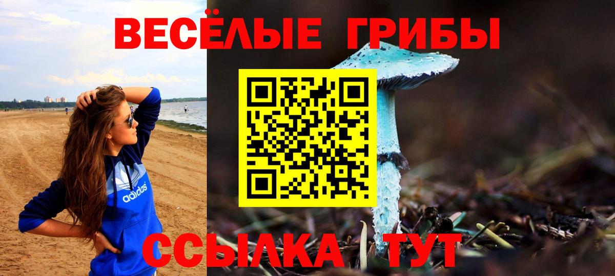 Галлюциногенные грибы GOLDEN TEACHER Биробиджан