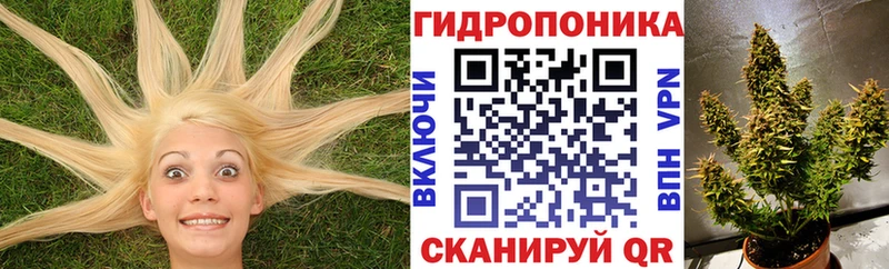 blacksprut зеркало  Биробиджан  Бошки марихуана AK-47 